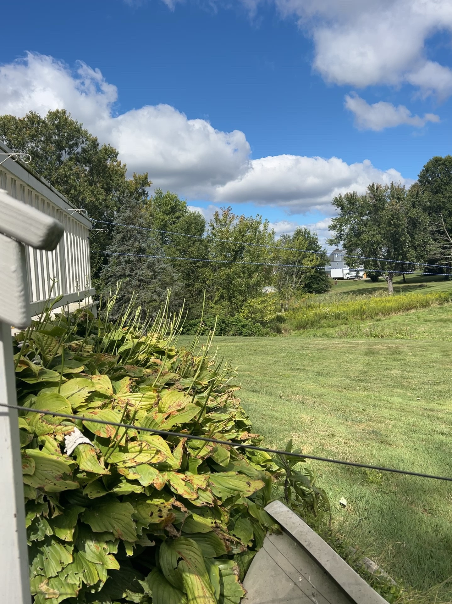 Fence project on hold for now so I got this 200’ dog run so our dogs can still enjoy the backyard until then!  #ltkpets #ltkdogs 

#LTKHome