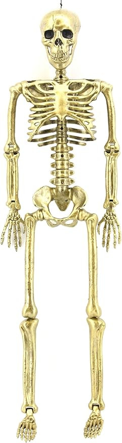 Gold 24" Skeleton Standard | Amazon (US)