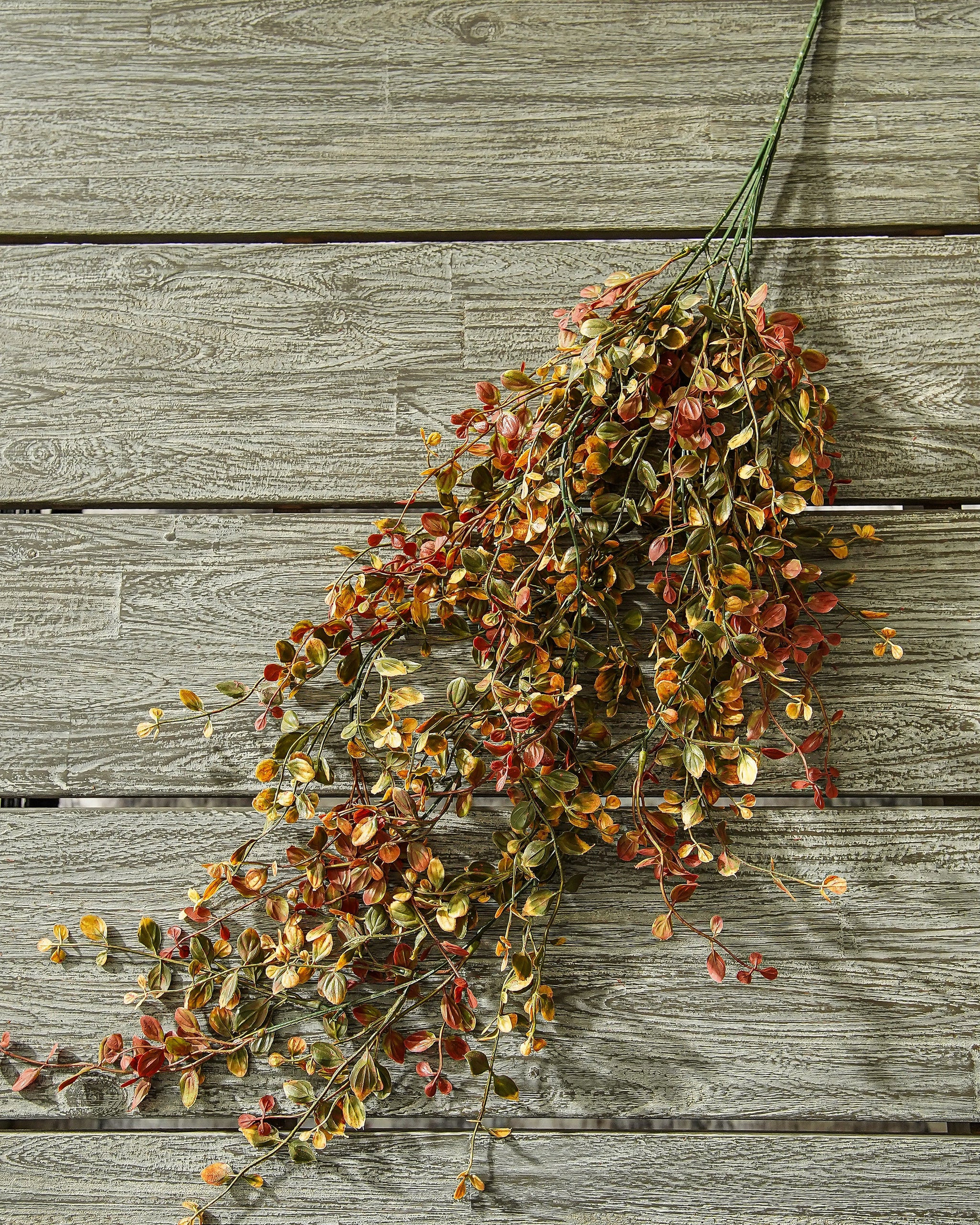 Pimpernel Hanging Stem | MJHome