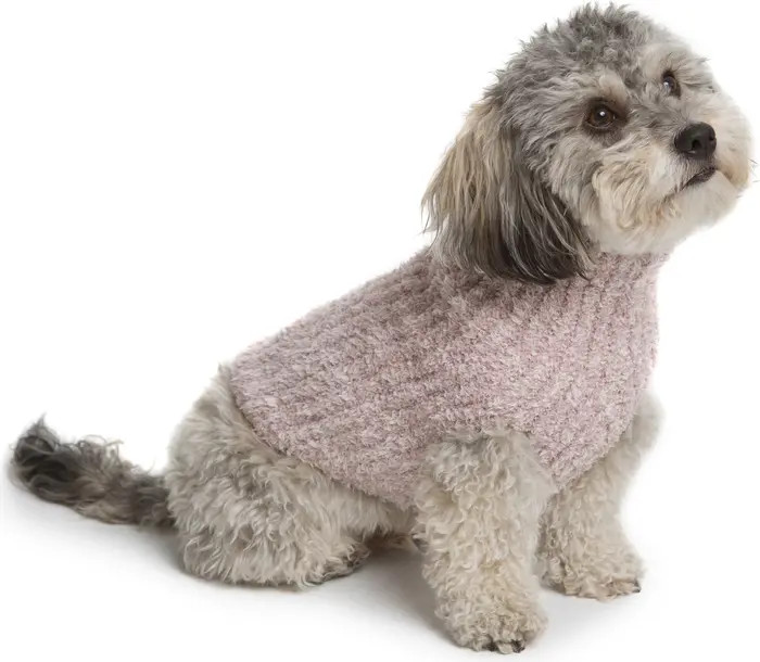 CozyChic™ Ribbed Dog Sweater | Nordstrom