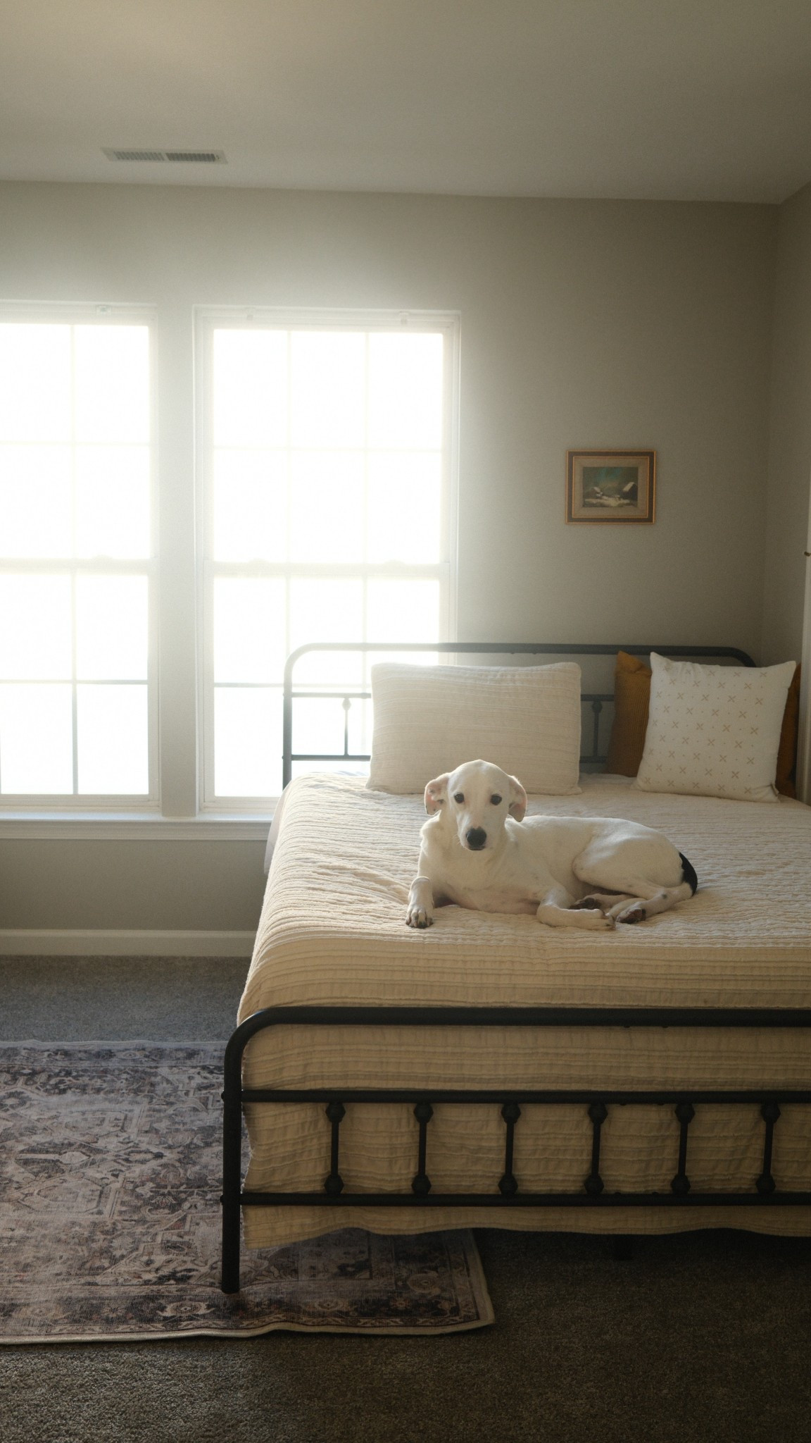 Affordable Amazon Guest Bedroom furniture !

#LTKHome