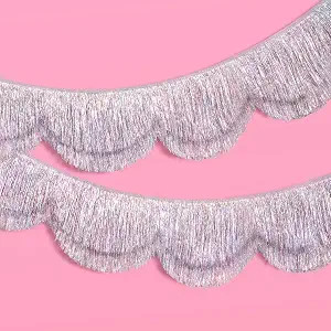 xo, Fetti Silver Iridescent Scalloped Fringe Banner - 6 Ft. | Bachelorette Party Decorations, Bir... | Amazon (US)