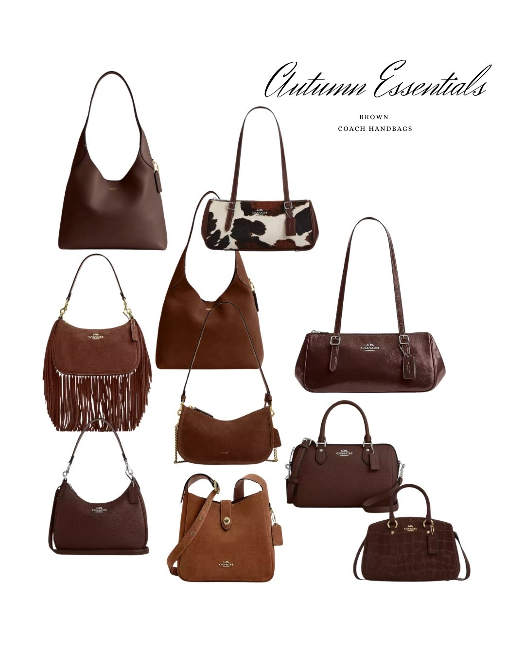 Coach Brown Bags: Fall Favorites 🍂

#LTKSaleAlert #LTKFallSale #LTKSeasonal