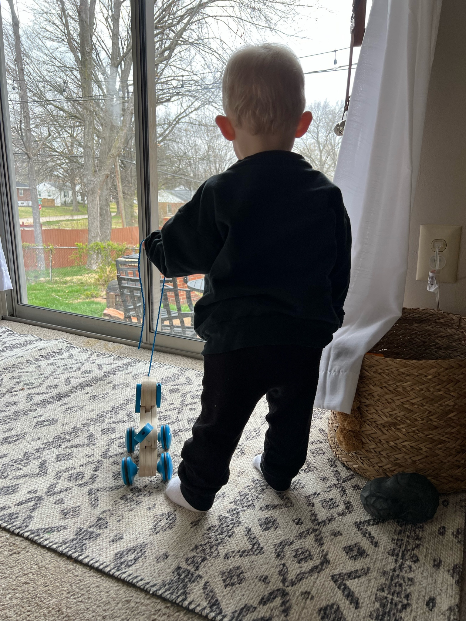 This wooden dog is one of Lou’s favorites! It’s so fun to see him interact & walk the puppy! I added the dog along with some more fun toys!

#LTKunder50 #LTKkids #LTKsalealert