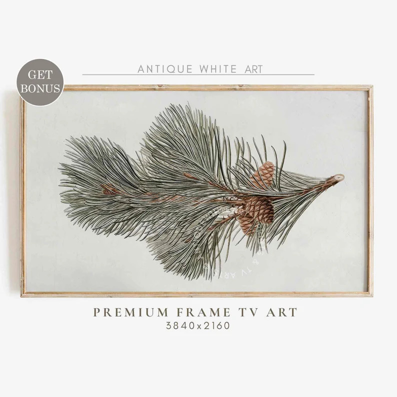 Winter Botanical Frame TV Art, Neutral Winter Samsung Frame TV Art, Farmhouse Decor, Pine Tree Ar... | Etsy (US)