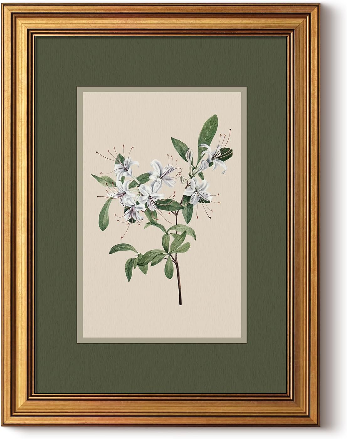 Amazon.com: InSimSea Gold Framed Canvas Prints Wall Art, Vintage Nursery Decor, Botanical White F... | Amazon (US)