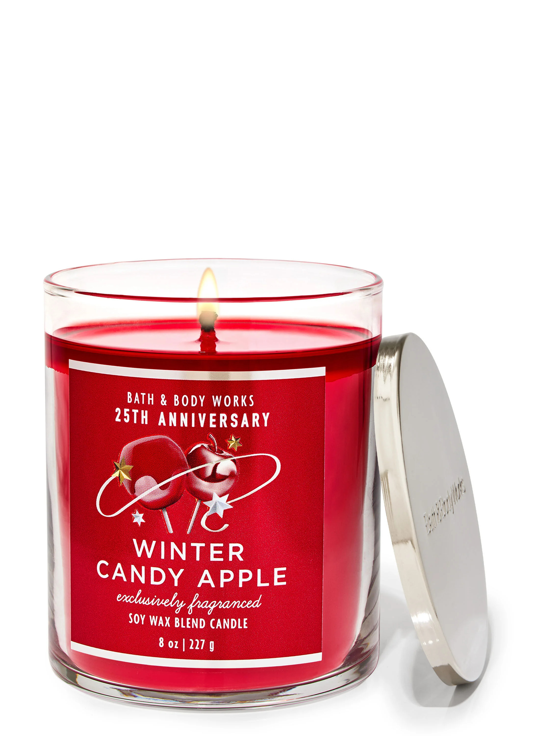 Winter Candy Apple


Single Wick Candle | Bath & Body Works