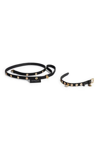 Versace Barocco Dog Collar & Leash Set | Nordstrom
