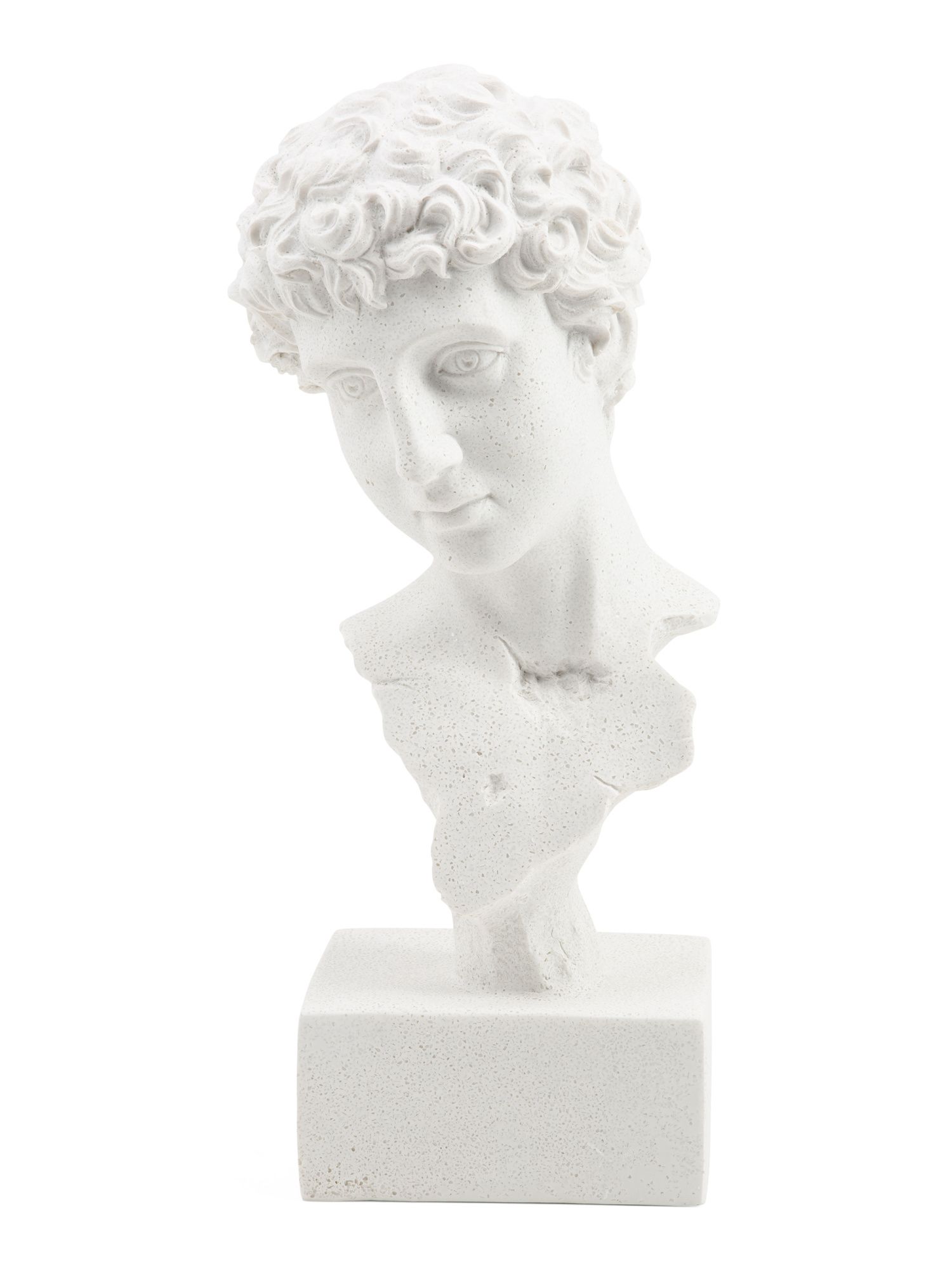 Statuette Bust | TJ Maxx