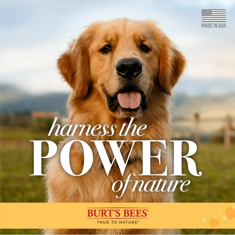 Burt’s Bees Dog Itch Soothing Shampoo, Honeysuckle Scent 16 Ounces | Walmart (US)