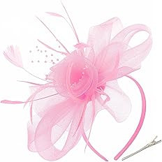 DRESHOW Fascinators Hat Tea Party Headwear Ribbons Feathers on a Headband and a Clip for Girls an... | Amazon (US)
