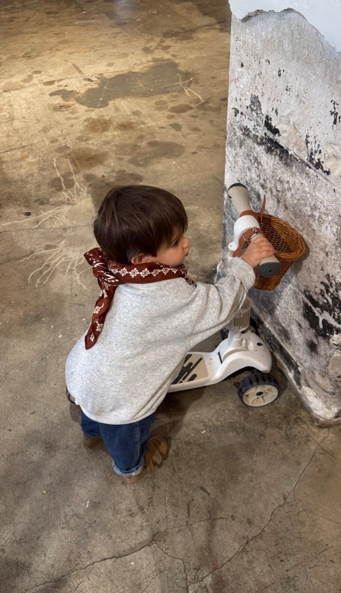 BABY SCOOTER

Publicité  

#LTKbaby #LTKkids #LTKfamily