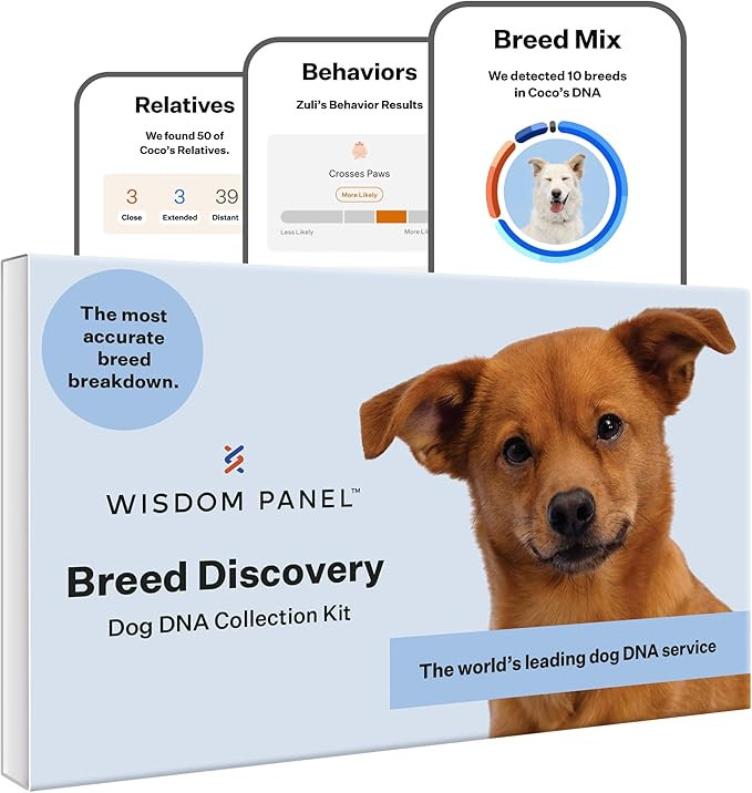 Wisdom Panel Breed Discovery Dog DNA Kit: Most Accurate Dog Breed Identification, Test for 365+ B... | Amazon (US)