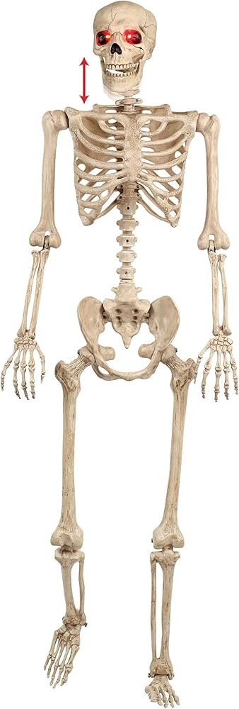 Crazy Bonez Talking Pose-N-Stay Skeleton | Amazon (US)