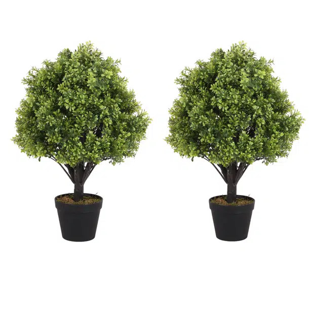 Hallam 24-Inch Indoor or Outdoor Faux Boxwood Topiary in Pot (Set of 2) | Wayfair North America