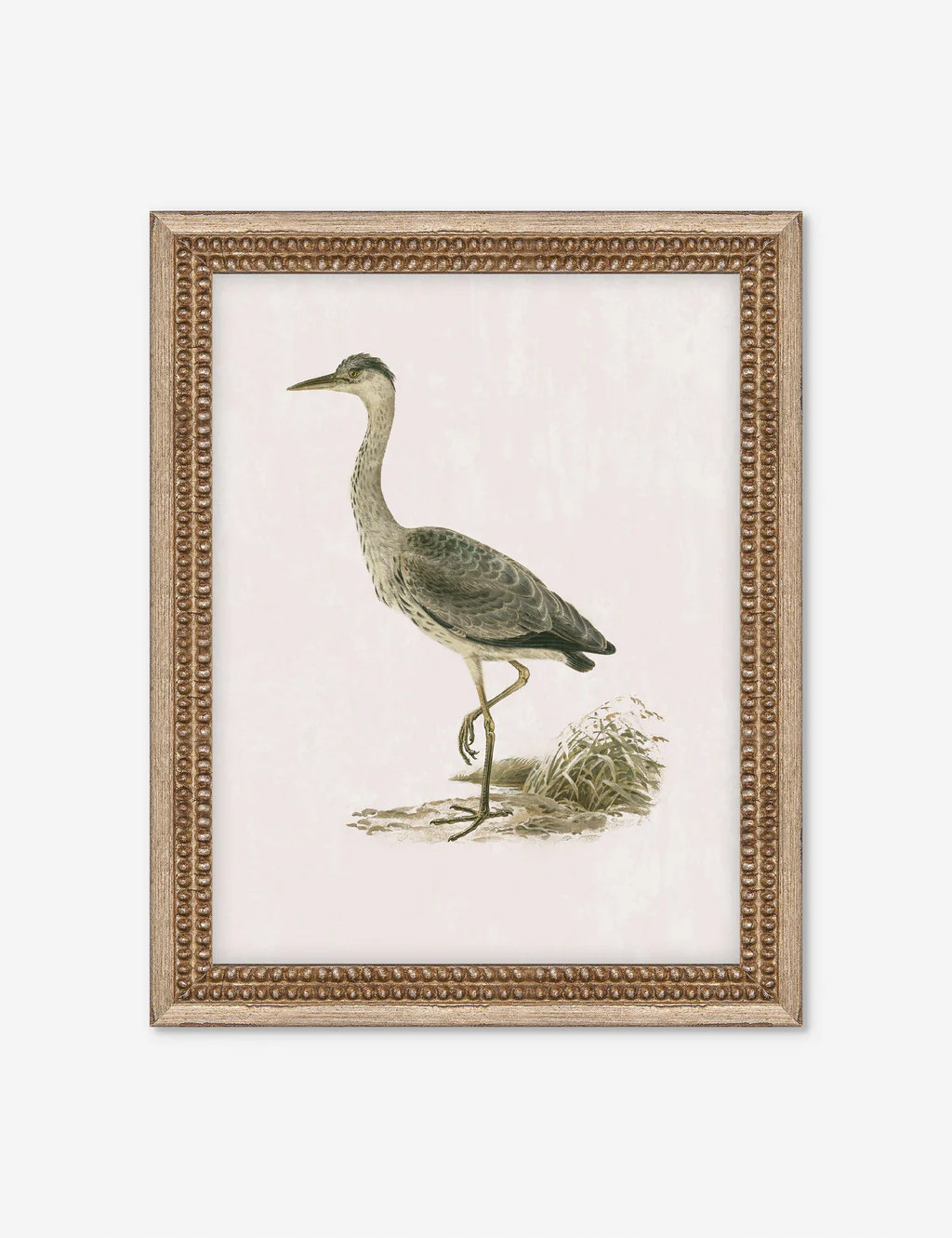Heron Friend II Wall Art | Lulu and Georgia 