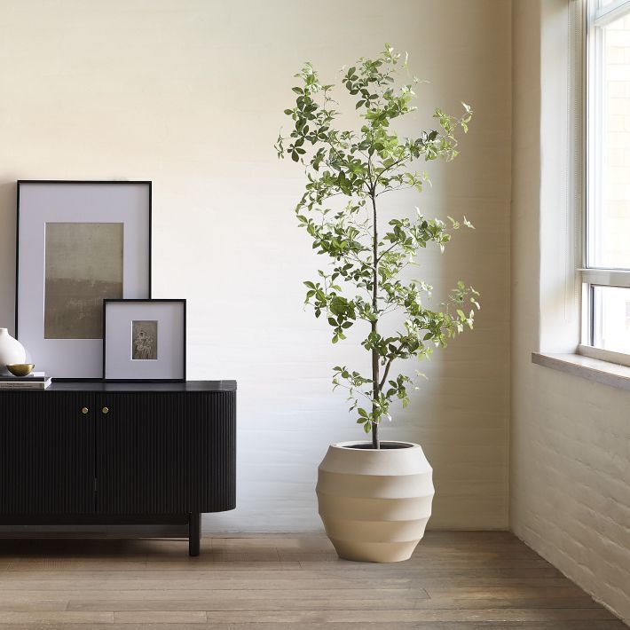 Faux Potted Quince Leaf Tree | West Elm (US)