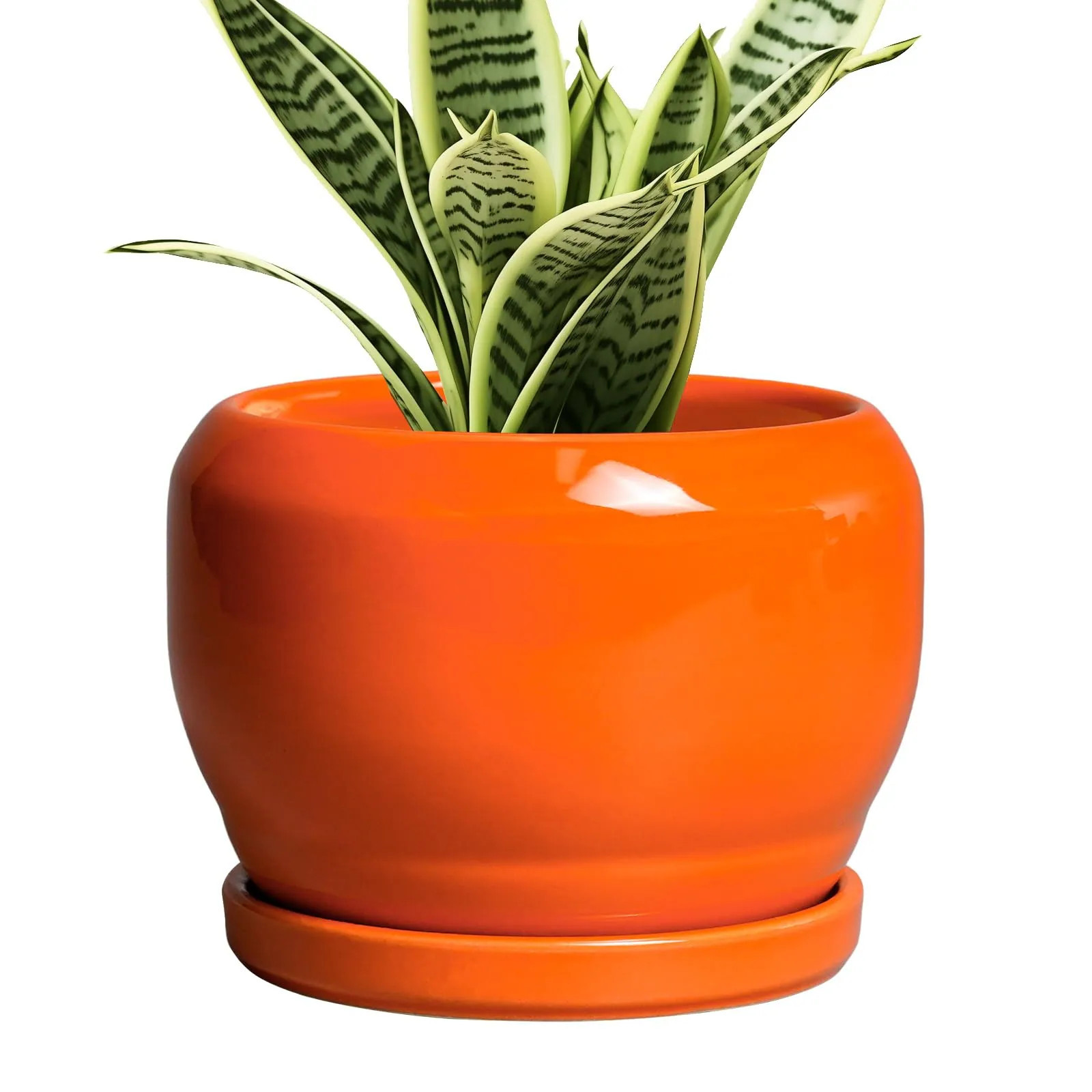 ITOPFOX Ceramic Plant Pot 6 Inch Orange Modern Indoor Outdoor Planter with Drainage Hole and Saucer Decorative Pot for Succulent Herb Flower Home | Lowe's