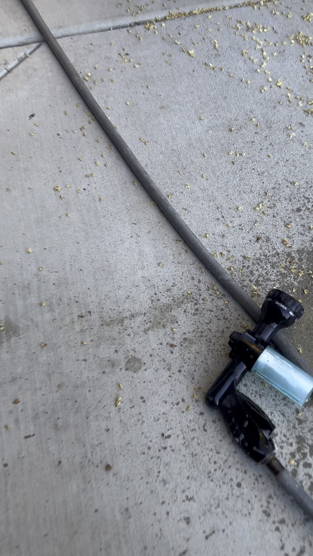 Hose Attachment Wasp Spray. They will drop like flies. Just add soap!

#LTKFindsUnder50 #LTKFamily #LTKHome