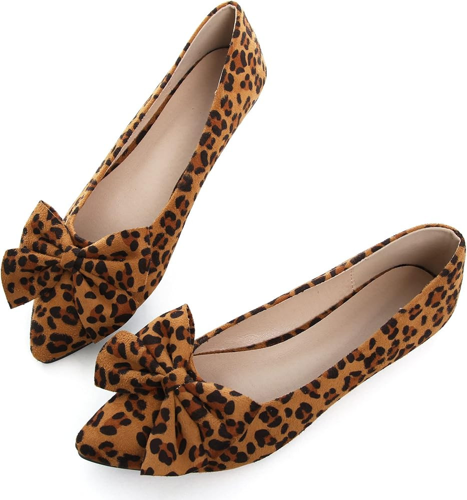 Dear Time Women's Ballet Flats Dress Ballet Shoes Slip on for Office Work Comfortable Shoes | Amazon (US)