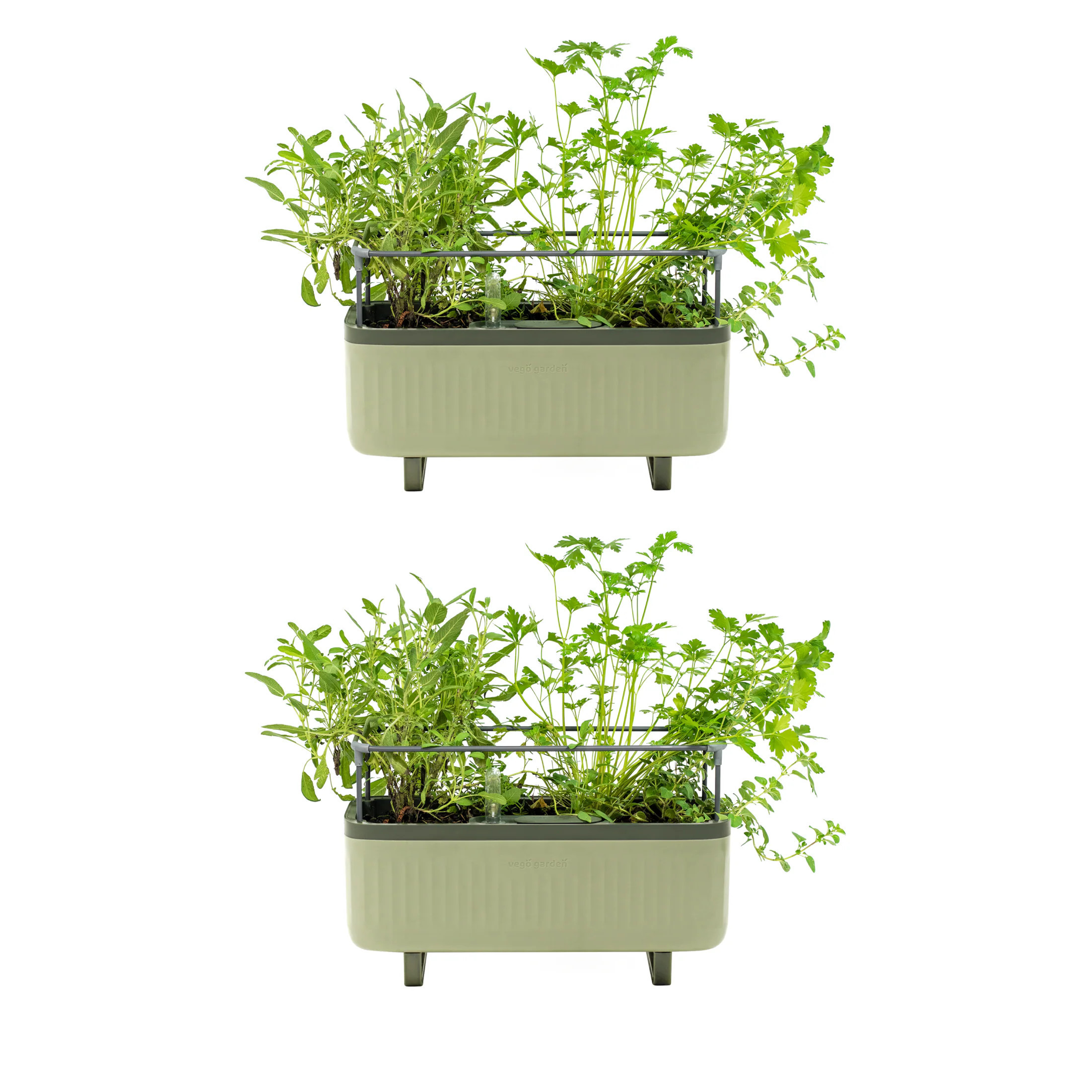 Vego Garden 2 -Pack Rectangle 7.3-in W Green Recycled plastic Indoor/Outdoor Planter | VPHPGN-2 | Lowe's