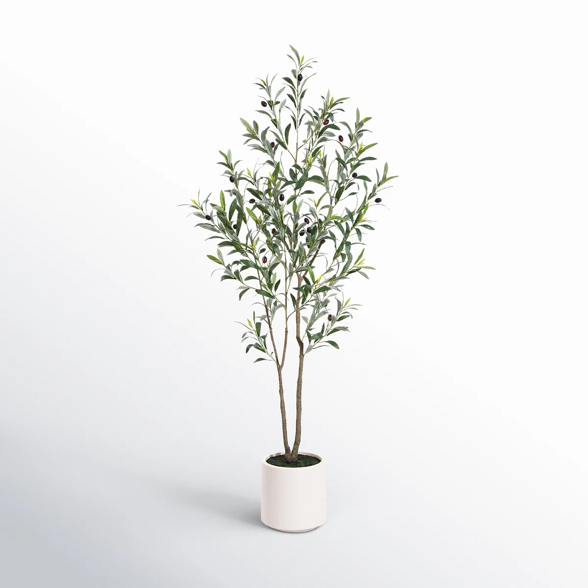 Adcock Faux Olive Tree in White Planter, Lifelike Fake Olive Plant for Indoor and Outdoor Decor | Wayfair North America