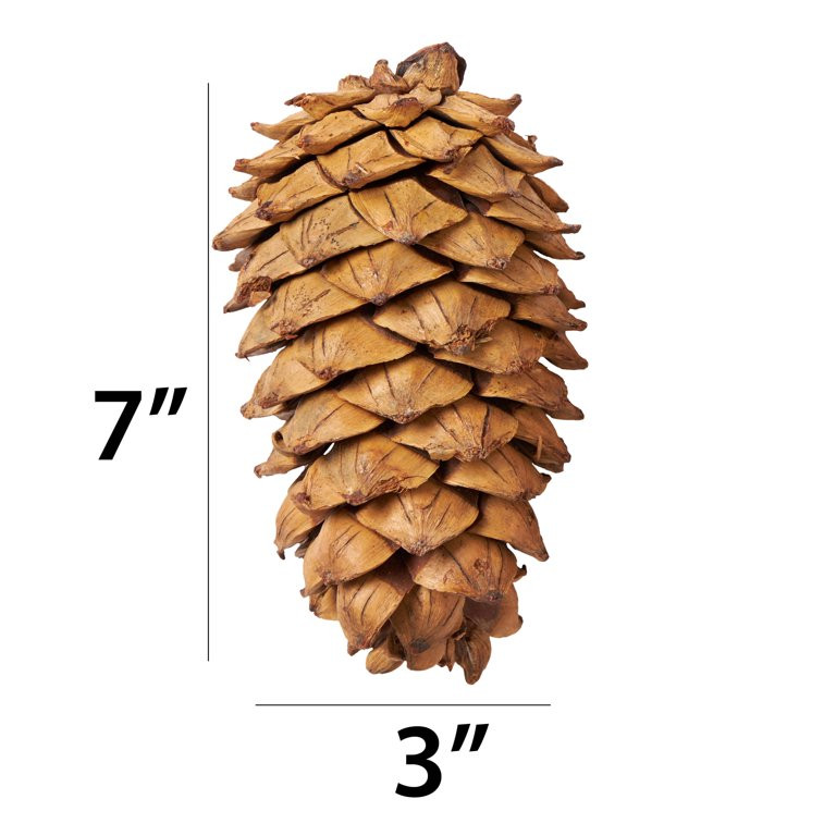My Texas House, Brown Natural Pinecone Set Tabletop Decoration, 3 Count, 7" | Walmart (US)