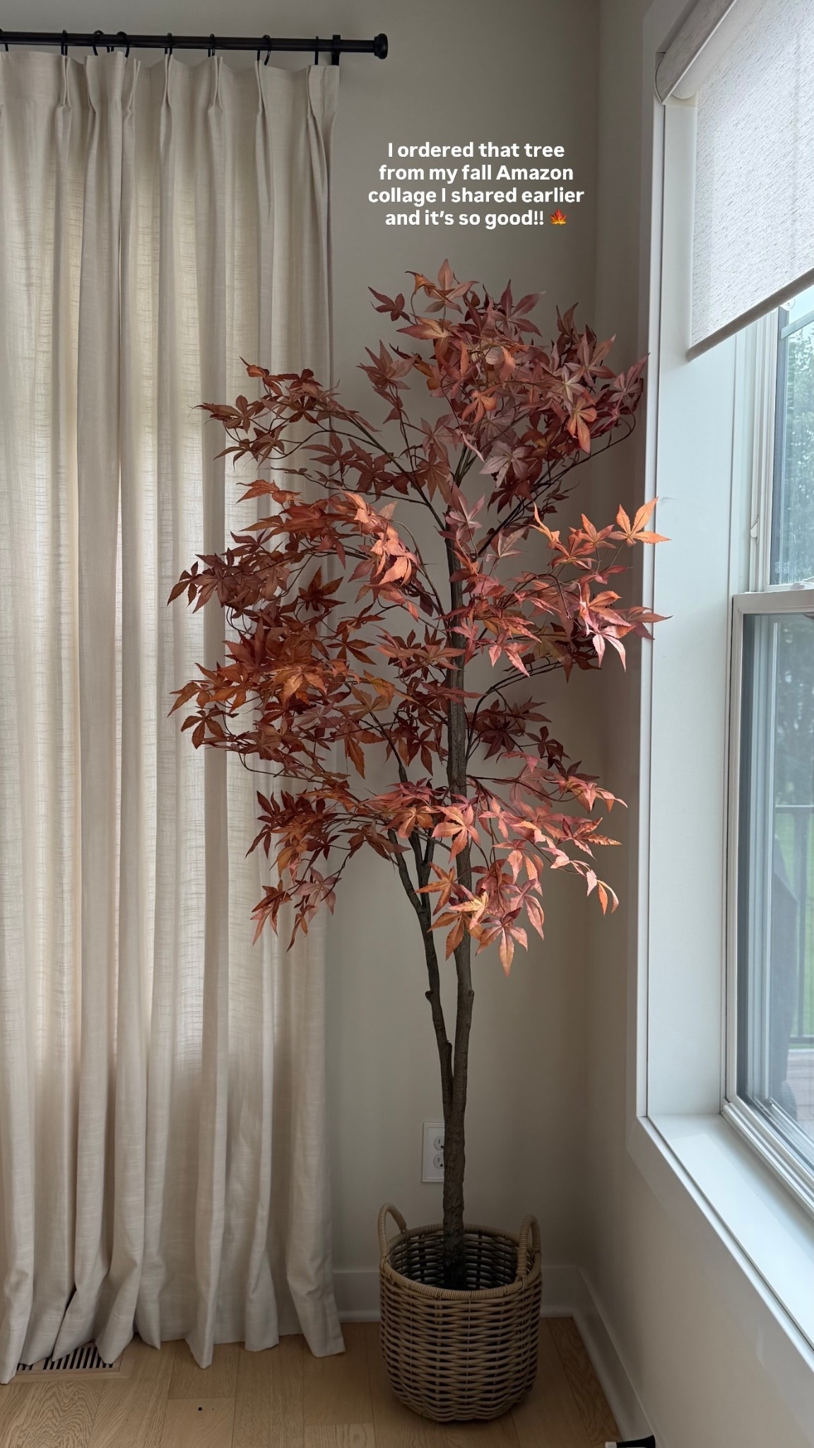 I ordered that tree from my fall Amazon collage I shared earlier and it’s so good!! 🍁
