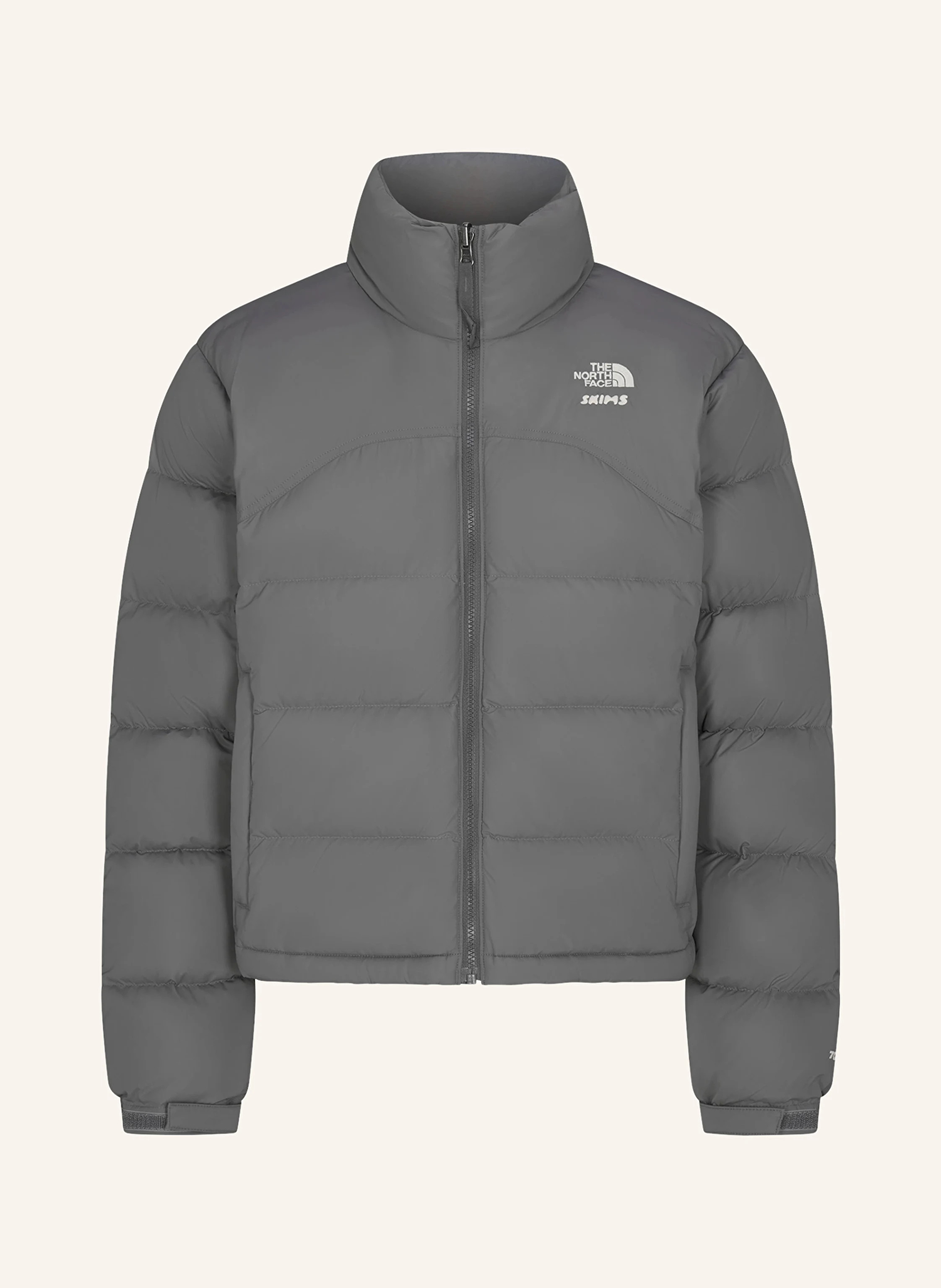 THE NORTH FACE x SKIMS Daunenjacke TNF X PROJECT K 2000 RETRO SHRUNKEN NUPTSE in t8l sk gunmetal | Breuninger (DACH)