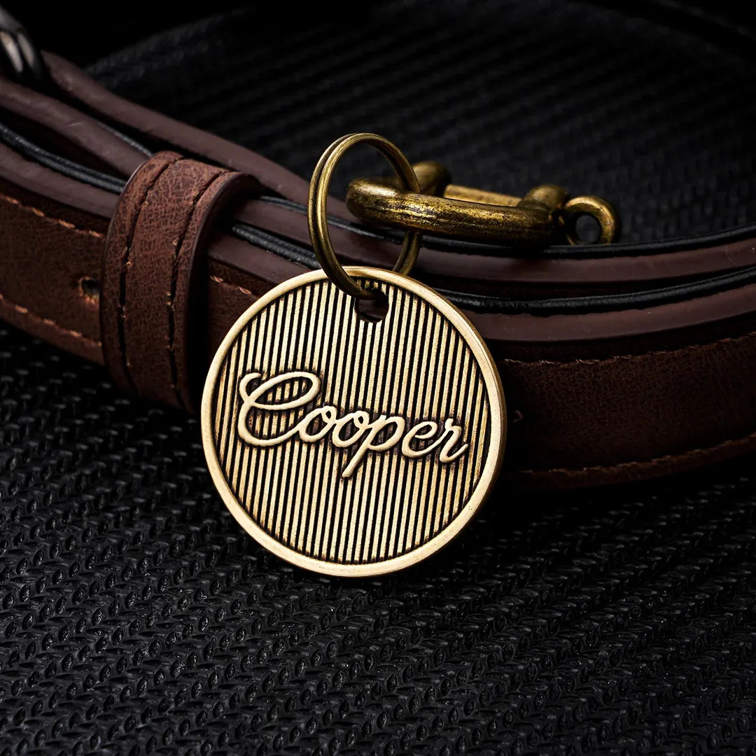 Personalized Brass Pet ID Tag, Engraved Dog Cat Tag, 30mm Dog Name Tag, Custom Dog Tag for Collar... | Etsy (US)