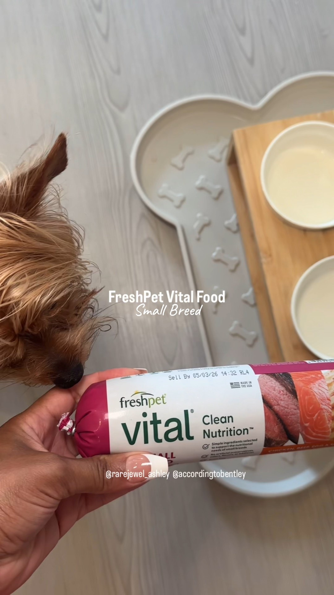 My dog tried FreshPet Vital small breed for the first time ever and cleared his bowl. 😆🐾

Hashtags:
#pets #dog #dogs #dogfood #freshfood #freshpet #dogparents #family #trending 

#LTKSeasonal