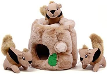 Outward Hound Hide-A-Squirrel Squeaky Puzzle Plush Dog Toy - Hide and Seek Activity for Dogs | Amazon (US)