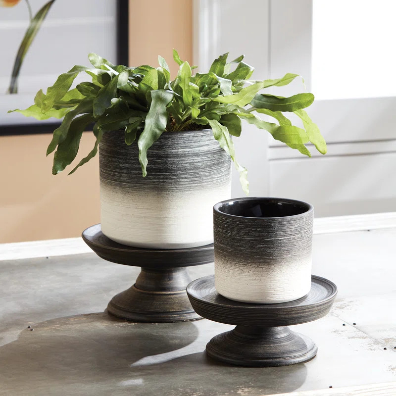 August Grove® Alely Riser Medium Serving Tray | Wayfair | Wayfair North America