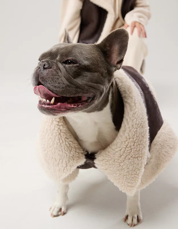 OFFLEASH By Aerie Leather Sherpa Dog Vest | American Eagle Outfitters (US & CA)