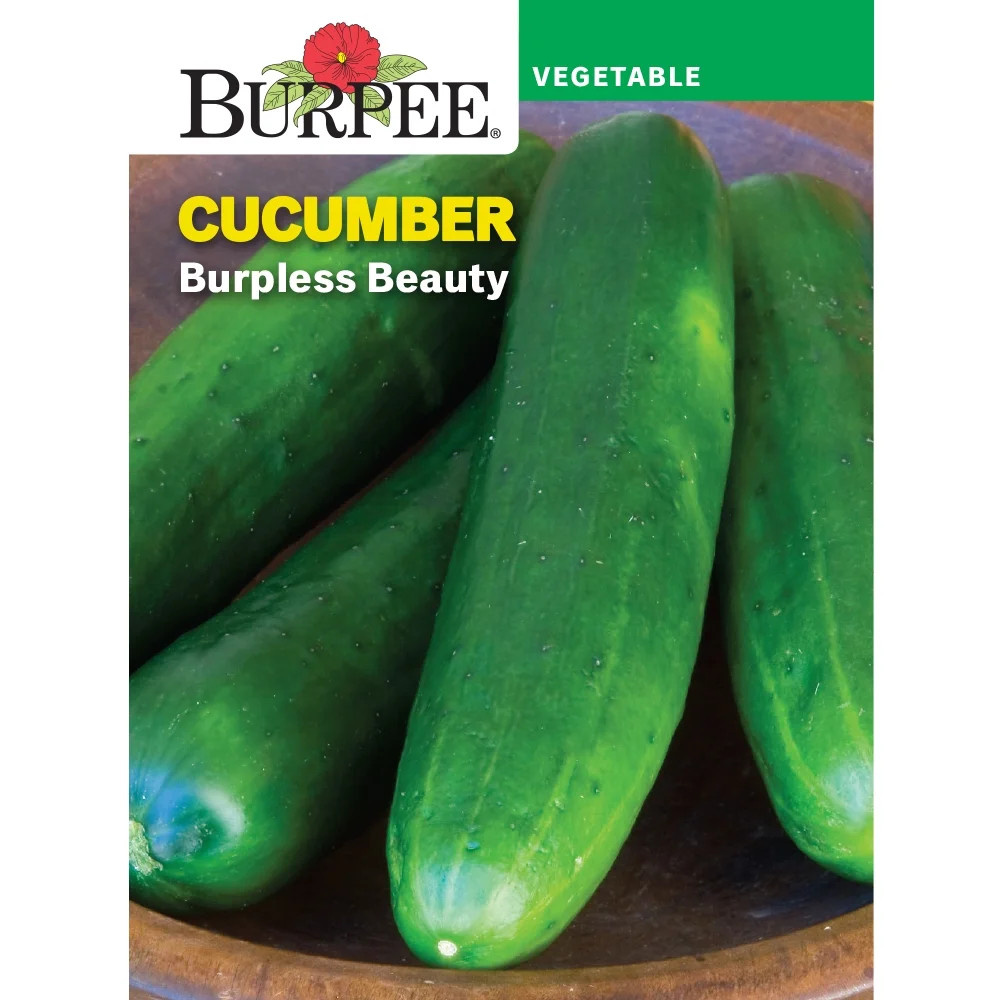 Burpee Burpless Beauty Cucumber Seeds - Non-GMO, Slicing Cucumber, Vegetable Gardening Seeds, 700... | Walmart (US)