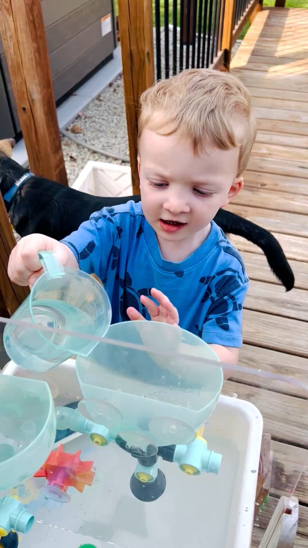 It’s warm enough now for the water table!

We love this sensory table from KiwiCo. Can also convert to a sand box. 

#LTKmomlife #LTKKids #LTKSeasonal