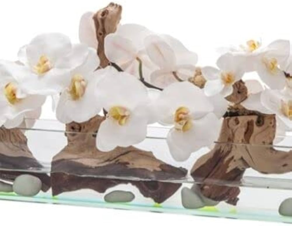 CFA Design Group Casa Moderna Glass Planter with Phalaenopsis Orchids (48'' Lx6 Wx8 H-,White) | Amazon (US)