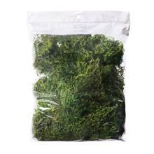 Preserved Forest Moss by Ashland® | Michaels Stores