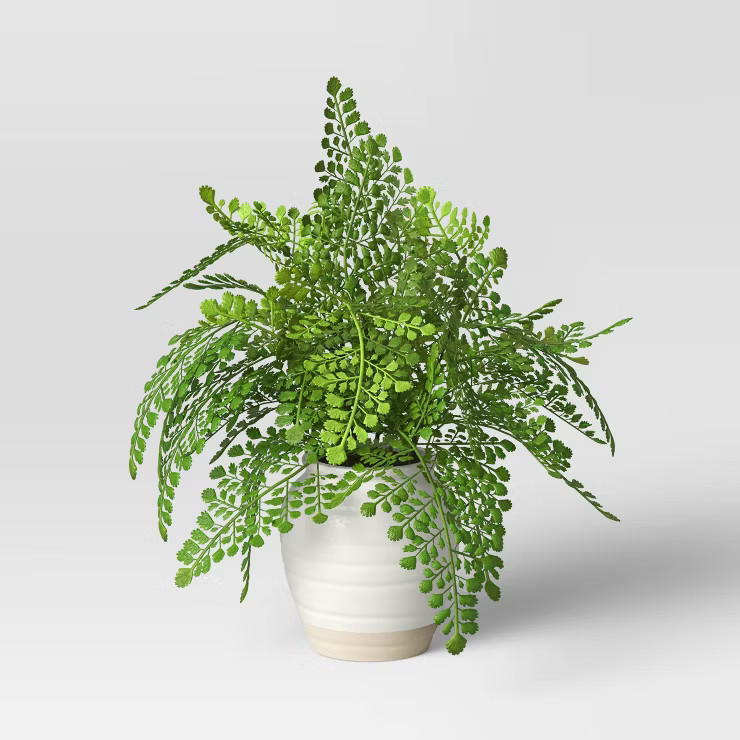 Large Maidenhair Fern - Threshold™ | Target