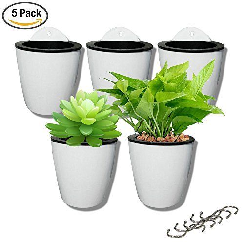 5 pack Lazy flower pots Water hanging plants Pot/Self Watering Planter,Succulent plants and small fl | Amazon (US)