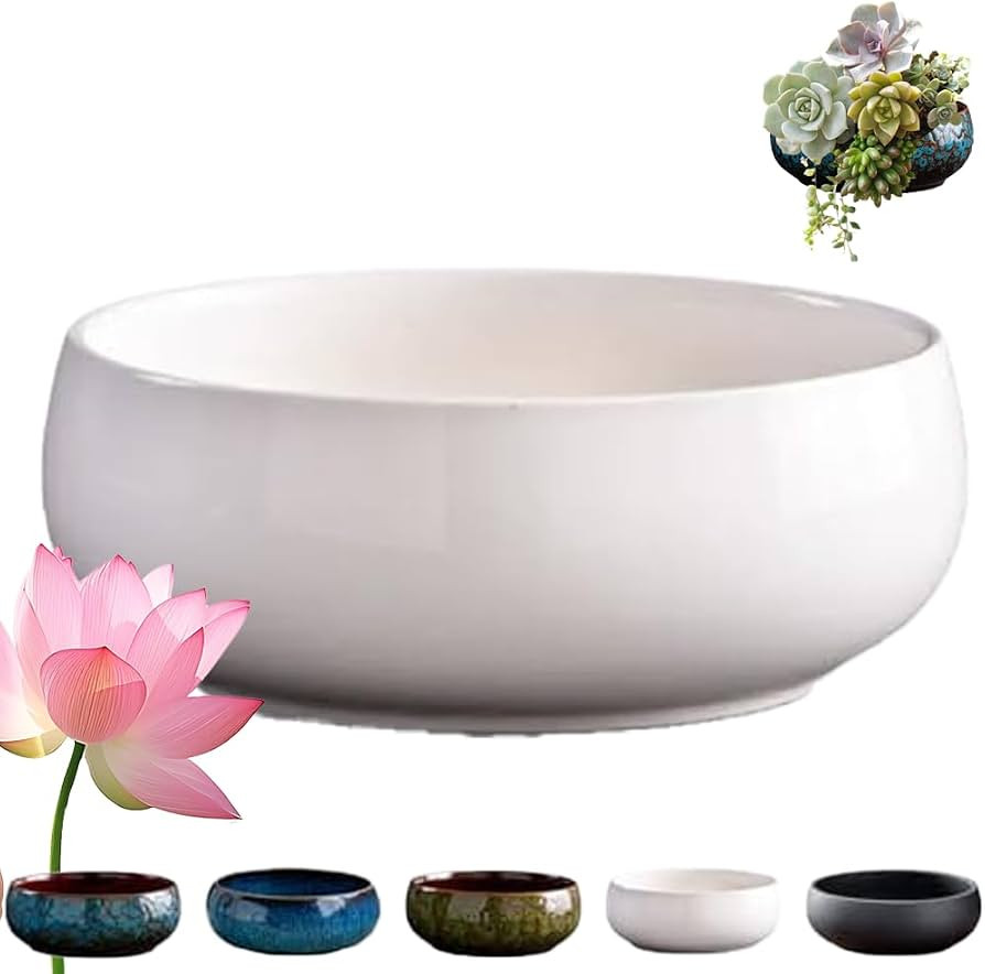 Lotus Bowl Planter,Lotus Pots for Water Plants Indoor,Ceramic Lotus Flower Bowl,Large Caliber Flo... | Amazon (US)