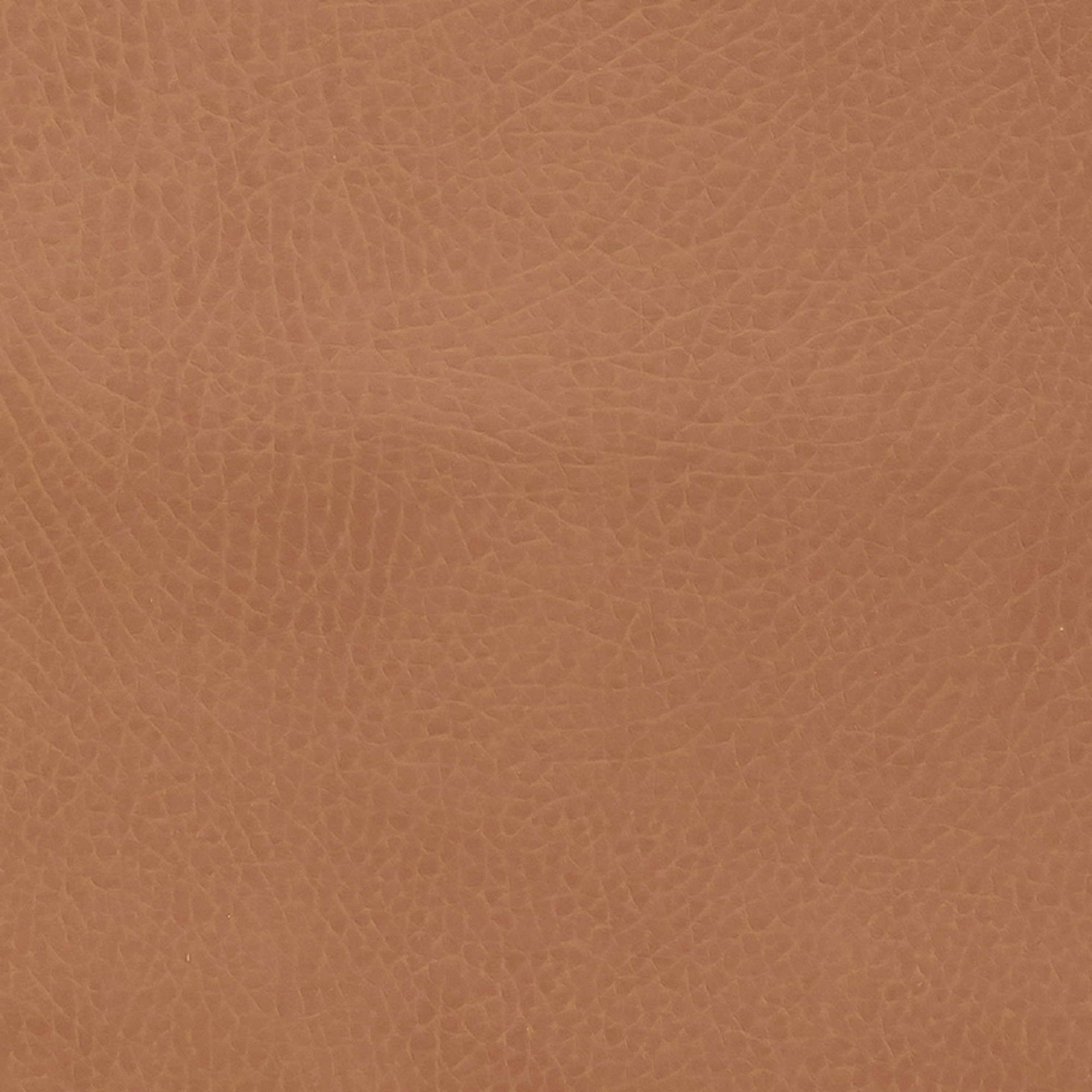 Midi+-Cedar | Gathre