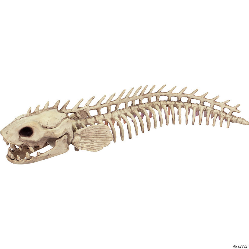 19 1/2" Skeleton Eel Prop | Oriental Trading Company