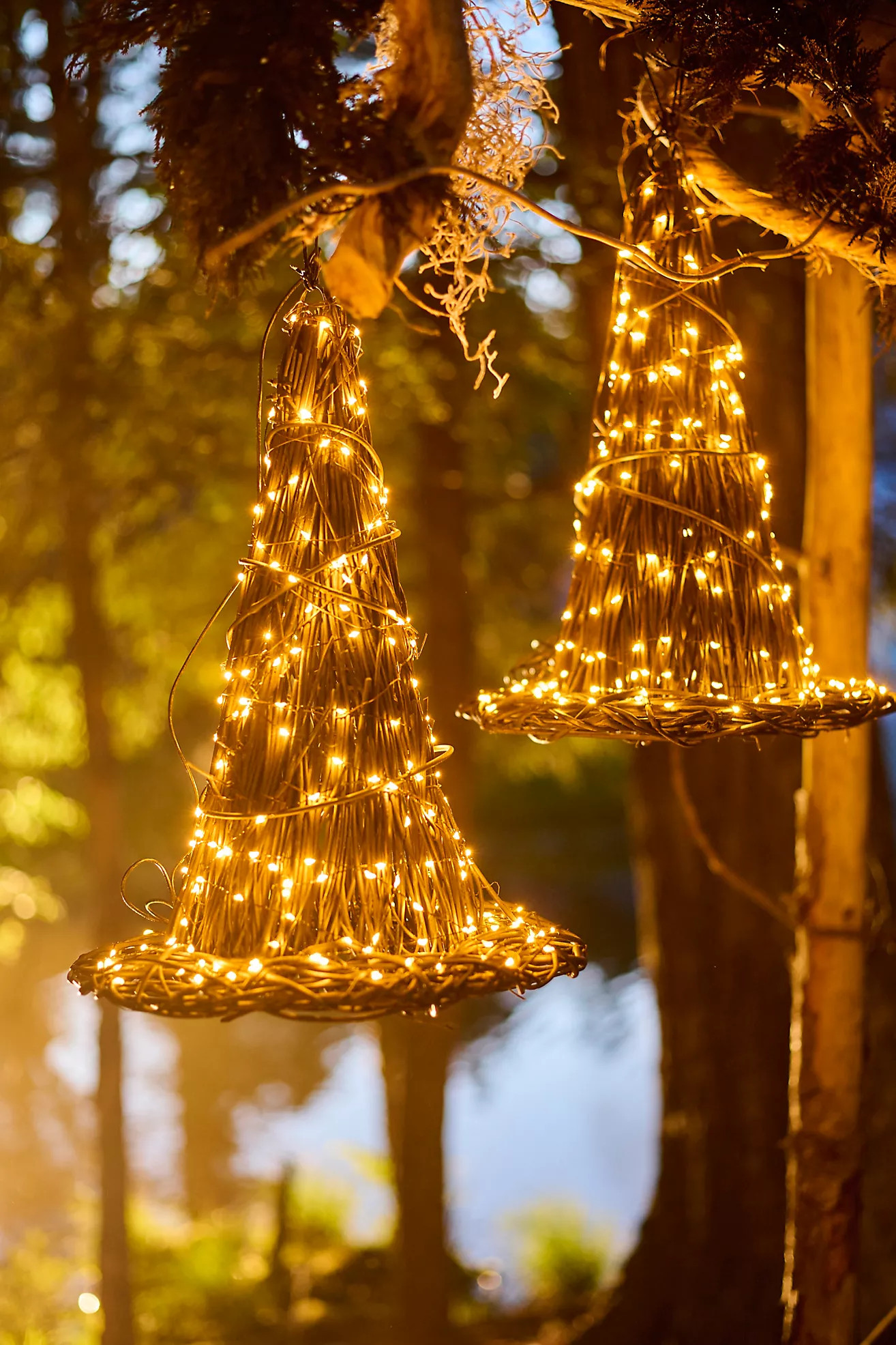 Illuminated Vine Witch Hat | Anthropologie (US)