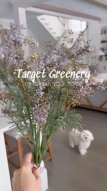 Pretty Target faux stems for your home!! So realistic and affordable!!

(2/26)

#LTKstyletip #LTKhome #LTKVideo