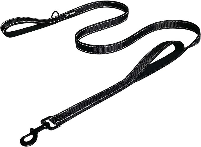 Heavy Duty Dog Leash - 2 Handles by Padded Traffic Handle for Extra Control, 6foot Long - Perfect... | Amazon (US)