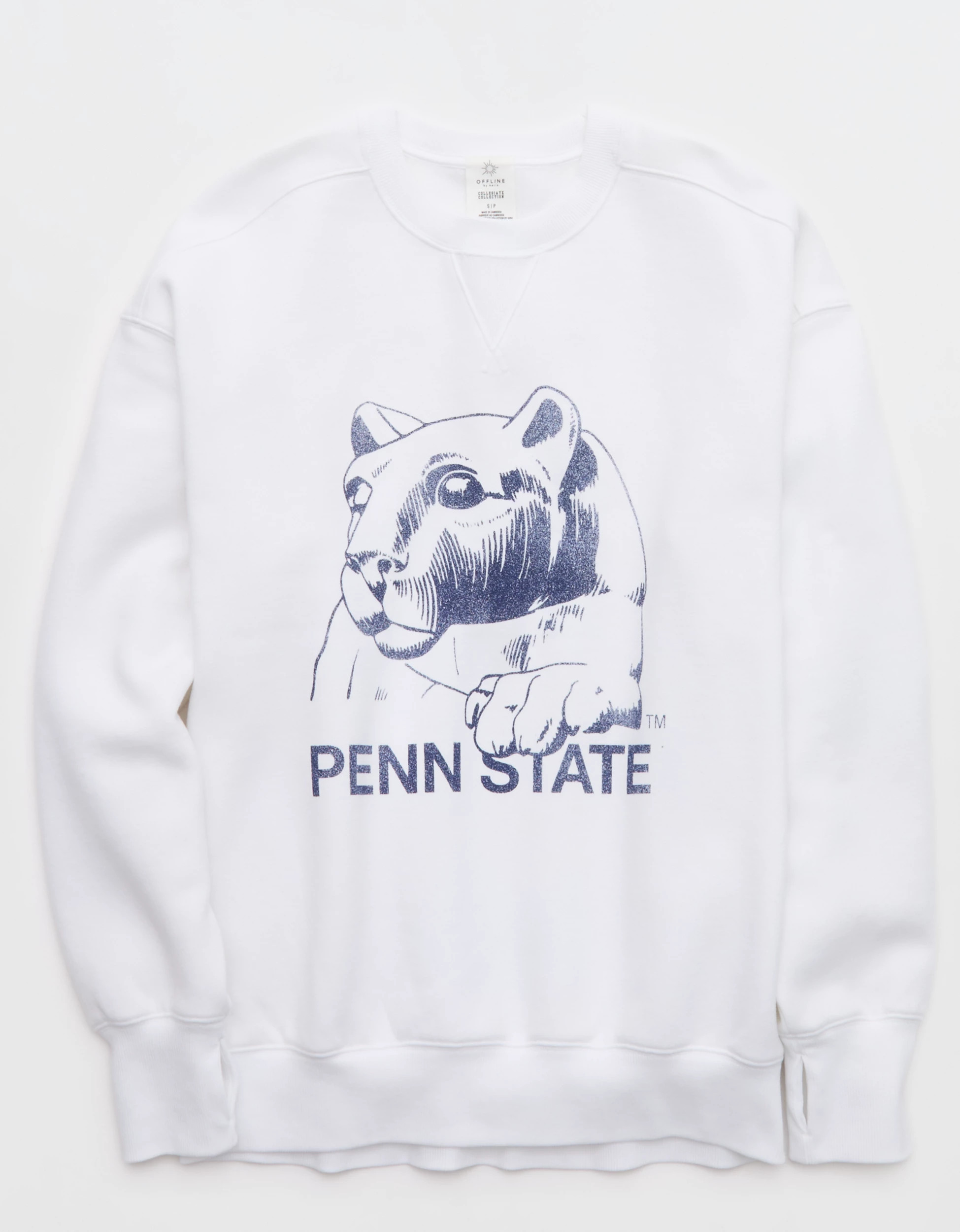 Penn State Nittany Lions OFFLINE By Aerie Crewneck | American Eagle Outfitters (US & CA)