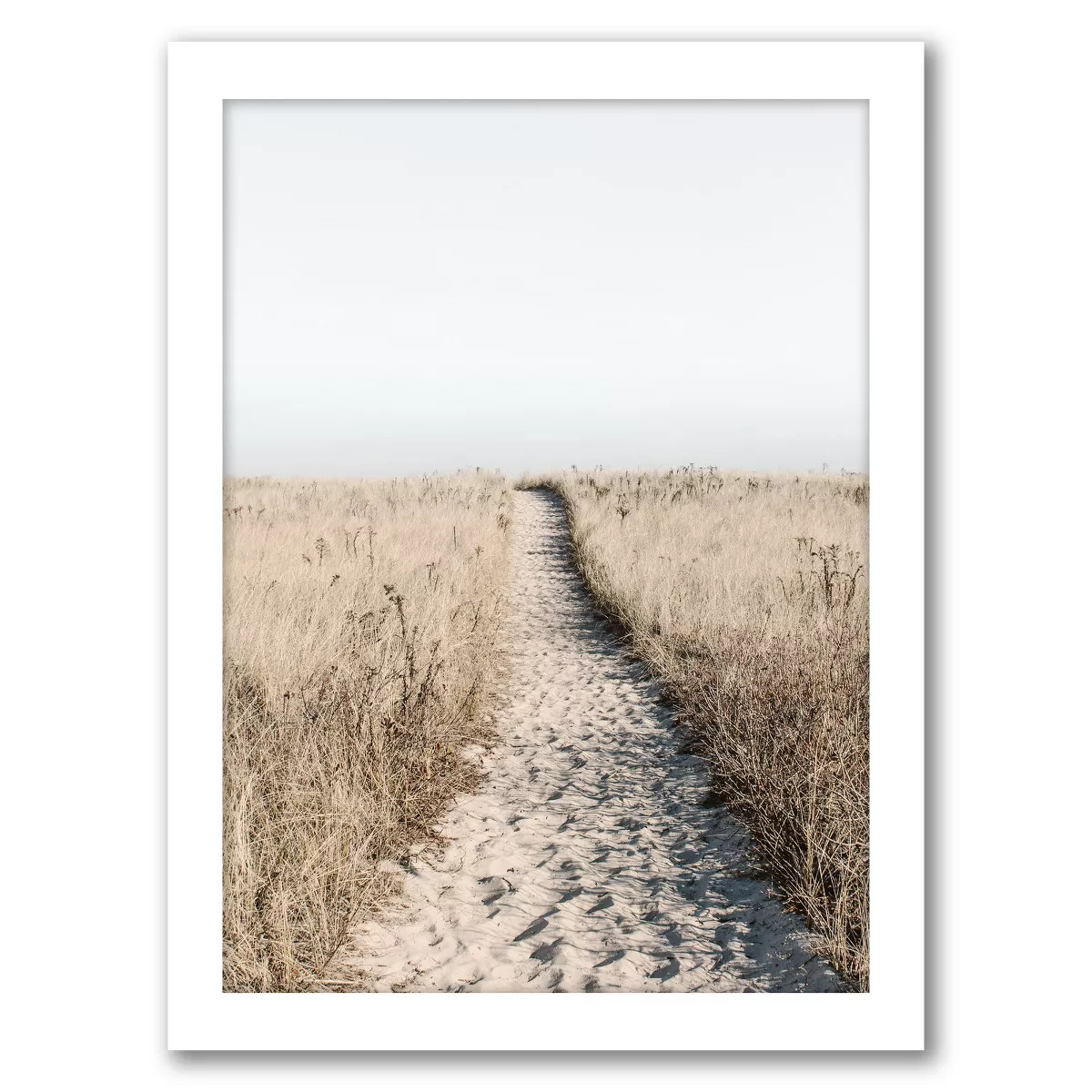 Americanflat Botanical Landscape Beach Path Art Print By Tanya Shumkina Framed Print Wall Art | Target