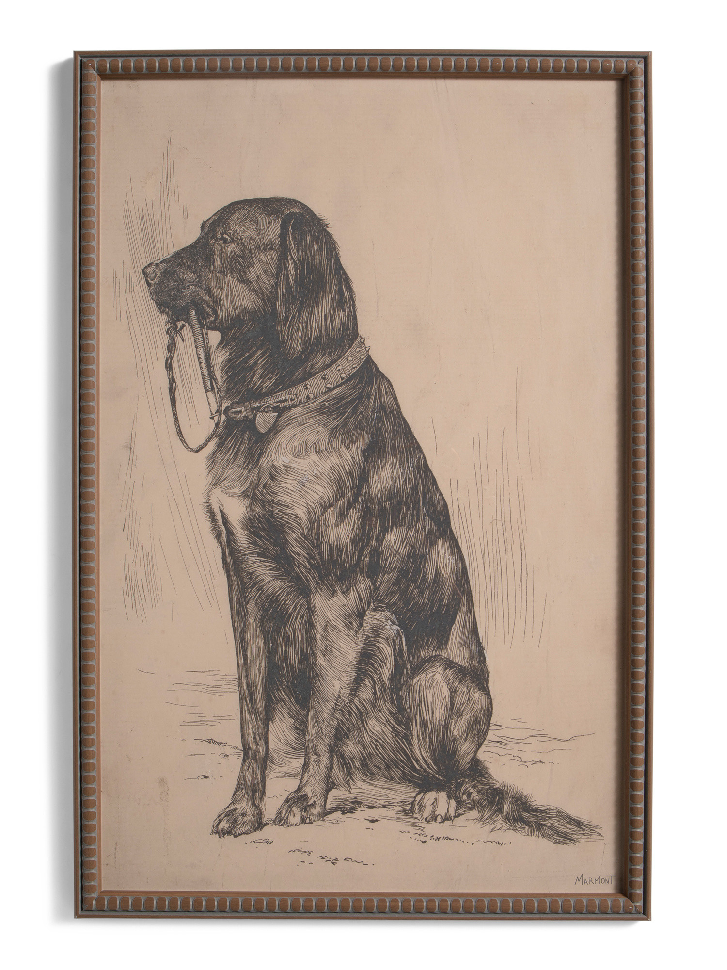 20x30 Vintage Dog Wall Art | TJ Maxx