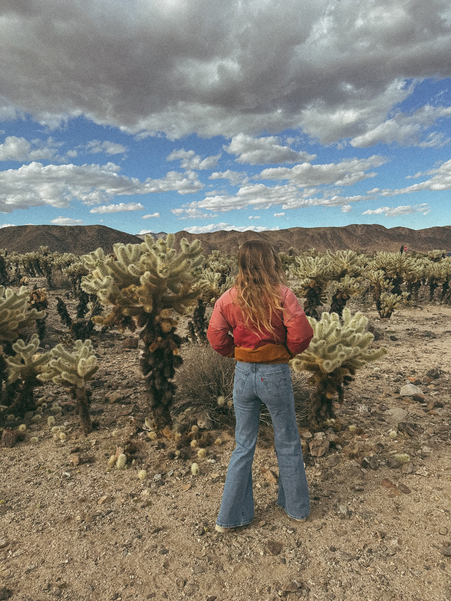 already ready for fall fits 💗 this rainbow puffer jacket is my fav #pufferjacket #fallfashion #falljackets #layers #sweaters #gameday

#LTKHalloween #LTKSeasonal #LTKFindsUnder100